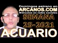 Video Horscopo Semanal ACUARIO  del 13 al 19 Junio 2021 (Semana 2021-25) (Lectura del Tarot)