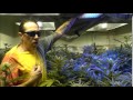 The Weed Nerd's Episode 187