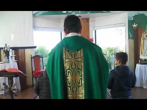 Santa Missa | 13.11.2021 | Sábado | Padre Fábio de Meira | ANSPAZ