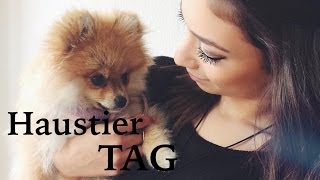 Haustier TAG ♛ | mit meiner kleinen süßen Briochi ♡