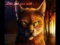 Warrior Cat Themes Part 1