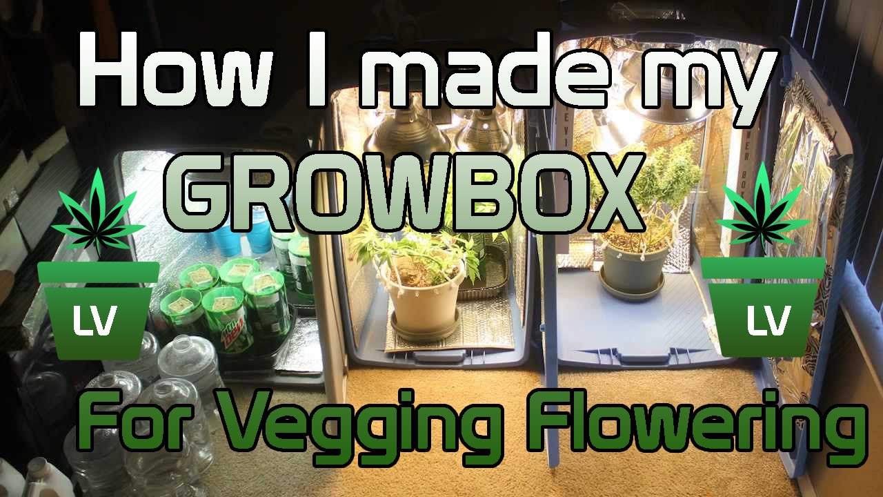 How I made my Grow Box for Vegging and Flowering :) LV - YouTube