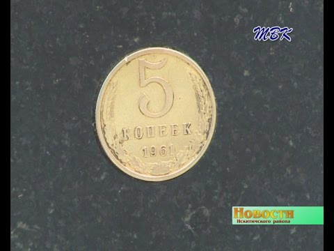 Выпускники Евсинской школы Искитимского района поставили памятник пятаку