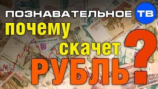 Почему скачет рубль? (Познавательное ТВ, Евгений Фёдоров)