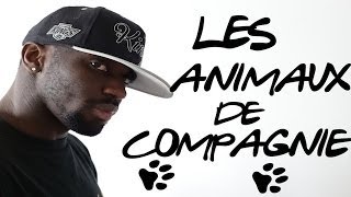 PAT - LES ANIMAUX DE COMPAGNIE