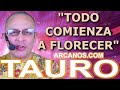 Video Horscopo Semanal TAURO  del 17 al 23 Marzo 2024 (Semana 2024-12) (Lectura del Tarot)
