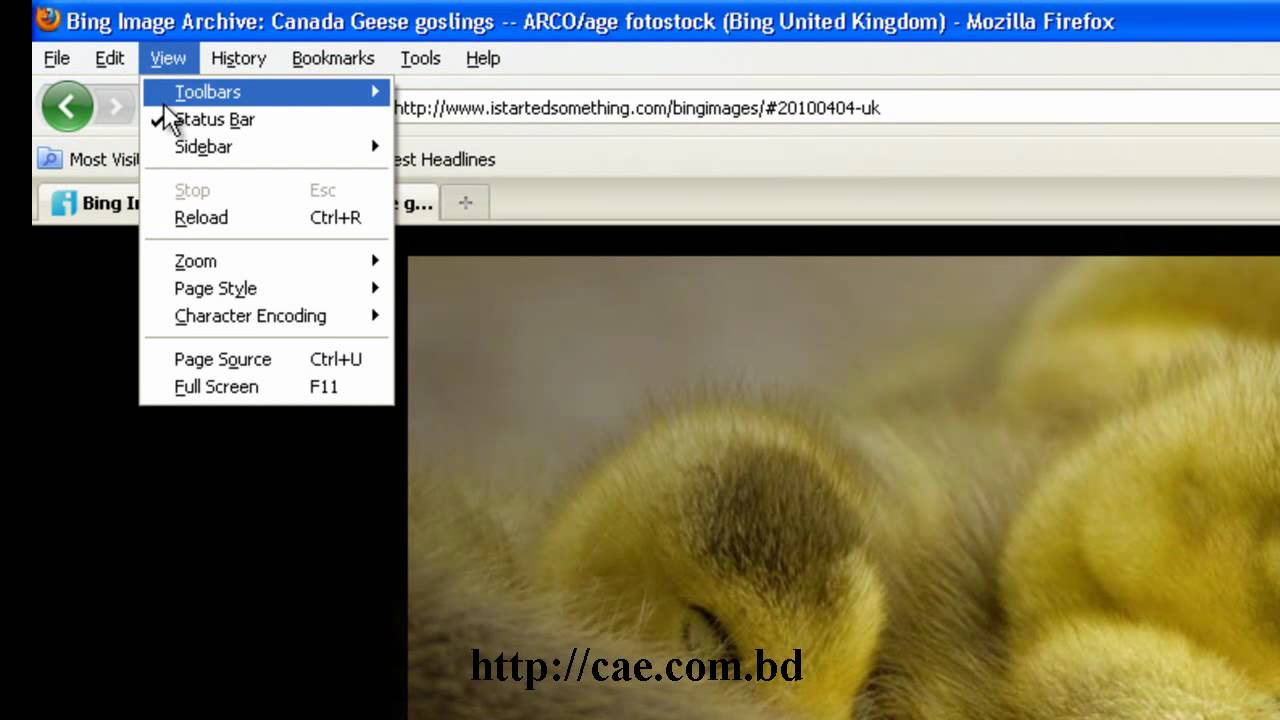 Save Bing's background image as desktop wallpaper YouTube