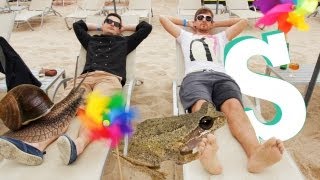 Frogs Legs & Snails (ft. Danisnotonfire & AmazingPhil)