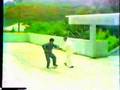 Tung Hu Ling Push Hands 2.WMV