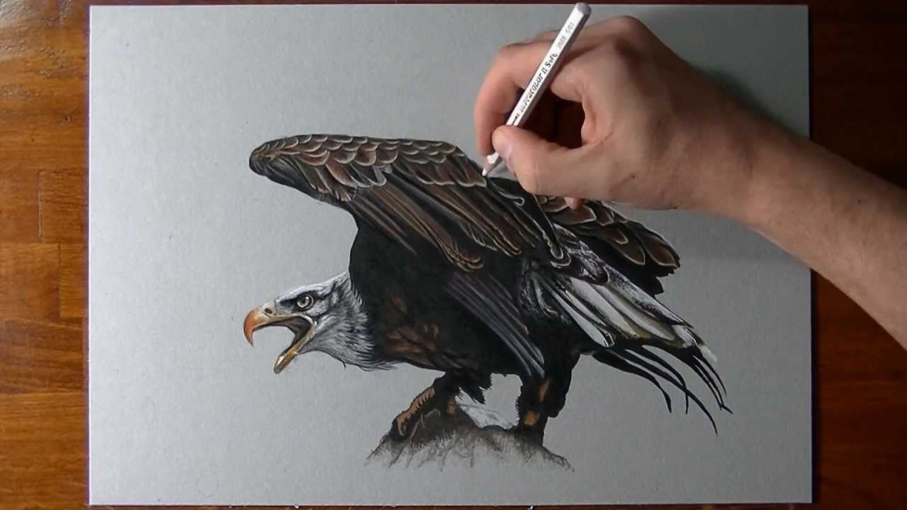 How I draw an eagle - YouTube