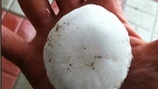 Raw: Hail and Dust Storms Hit Nebraska