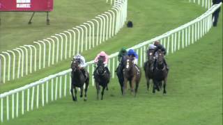 2013 Qipco Sussex Stakes - Toronado