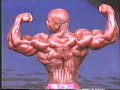 Flex Wheeler