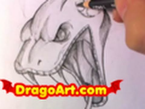 How to Draw a Snake Head, Draw a Snake, Pencil Work - YouTube