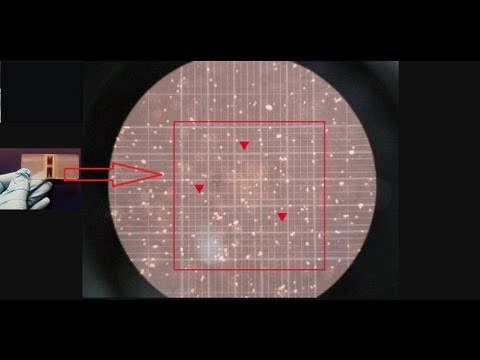 Hemocytometer - Counting of cells - Amrita University - YouTube