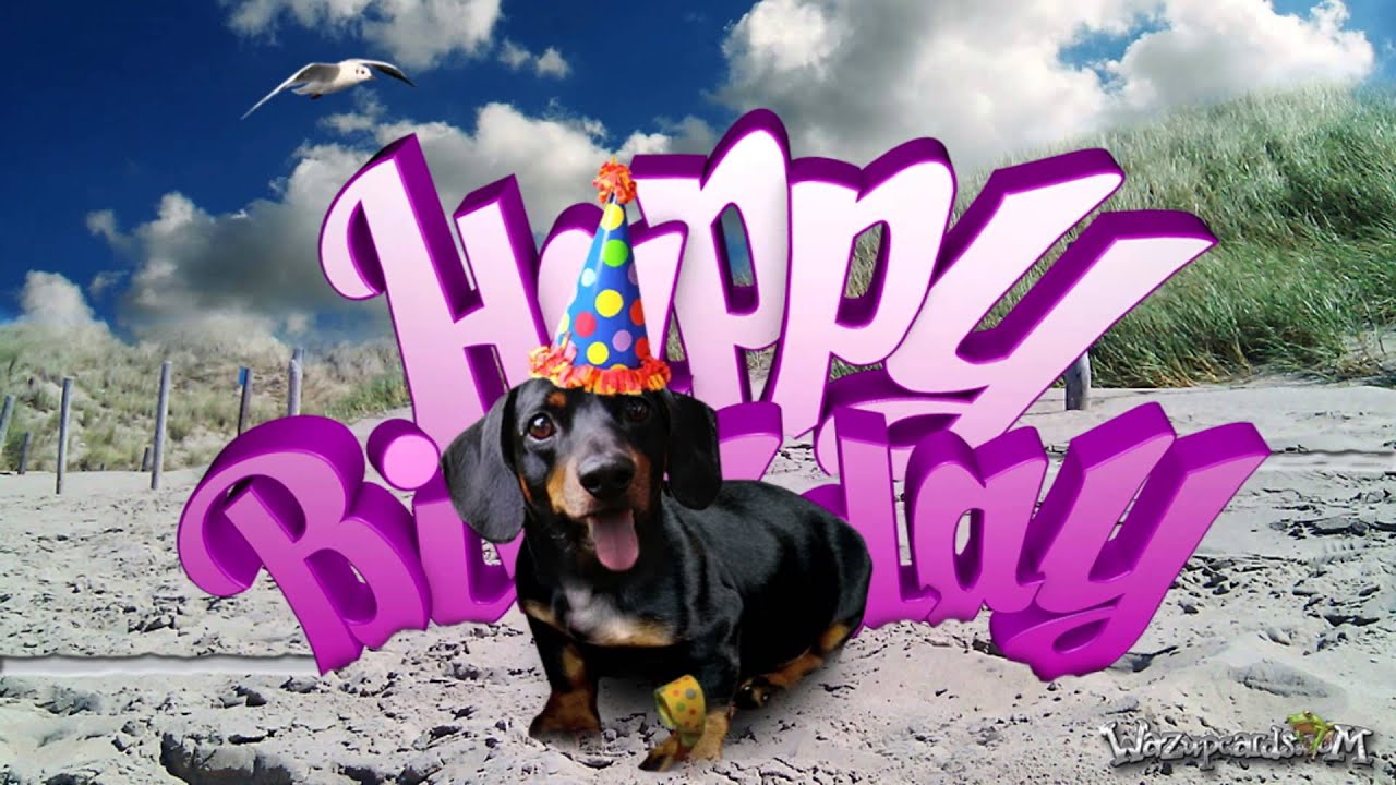 Teckel Dog / Dachshund [For Her] - HAPPY BIRTHDAY - YouTube