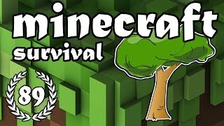 Minecraft Survival - Aflevering 89 - "Eindelijk!"