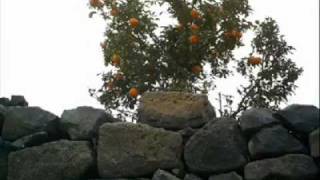 شبابه. الجبل السويداء أجمل تراث