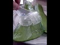 Mặt nạ dưỡng tóc từ nha đam và dầu dừa