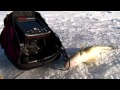 Tony Roach Fishing Report - 1/17/13