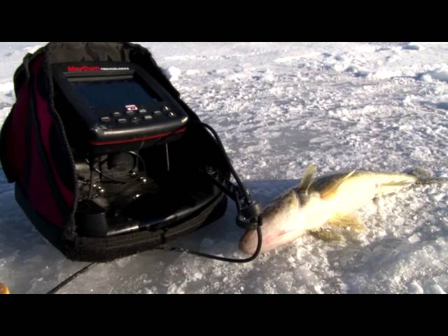 Tony Roach Fishing Report - 1/17/13