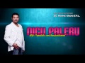 NICU PALERU - FLORAREASA, FLORAREASA Manele de Colectie