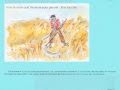 40 expressions française expliquées par Memphis à ses enfants