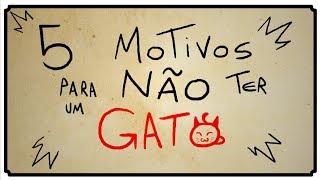 5 MOTIVOS PARA NÃO TER UM GATO