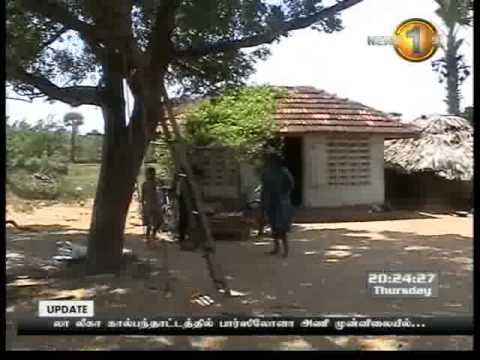 Hình ảnh trong video 8 00pm prime time news shakthi 31st october