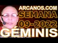 Video Horscopo Semanal GMINIS  del 20 al 26 Febrero 2022 (Semana 2022-09) (Lectura del Tarot)