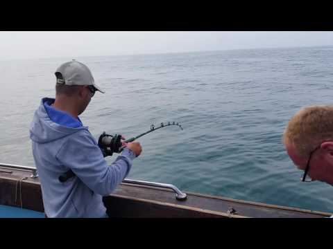 Mackerel Fishing