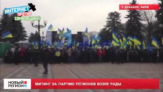 05.12.13 Митинг за Партию регионов возле Рады