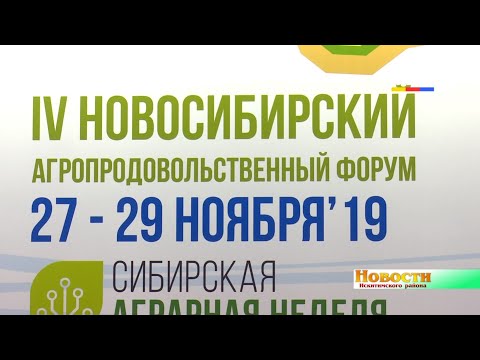 Живыми утятами и цыплятами привлекла всех презентация Искитимского района на 4-ом Новосибирском агропродовольственном форуме Живыми утятами и цыплятами привлекла всех презентация Искитимского района на 4-ом Новосибирском агропродовольственном форуме