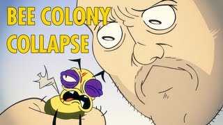 Bee Colony Collapse