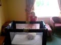 jumping in her cot, leah funny baby