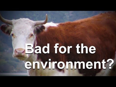 Cow Farts and Climate Change 
