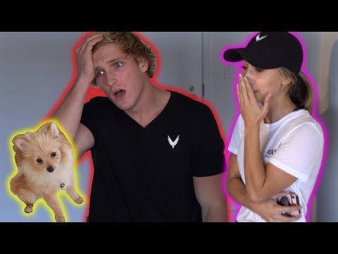 SHE ACTUALLY LOST MY DOG