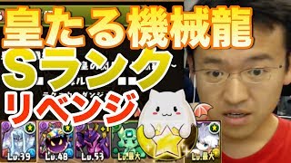 【パズドラ】皇たる機械龍 地獄級 Sランクにもう１度挑む！