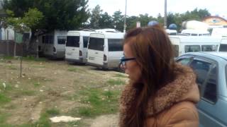 Unii otrăvesc, alții salvează cîinii vagabonzi