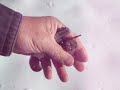 Thumbnail 2 for NAA Mini Revolver Accuracy Test Thumbnail 2 for NAA Mini Revolver Accuracy Test