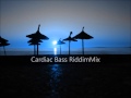 cardiac bass riddim mix 2012