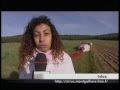 Reportage dans l'Essonne