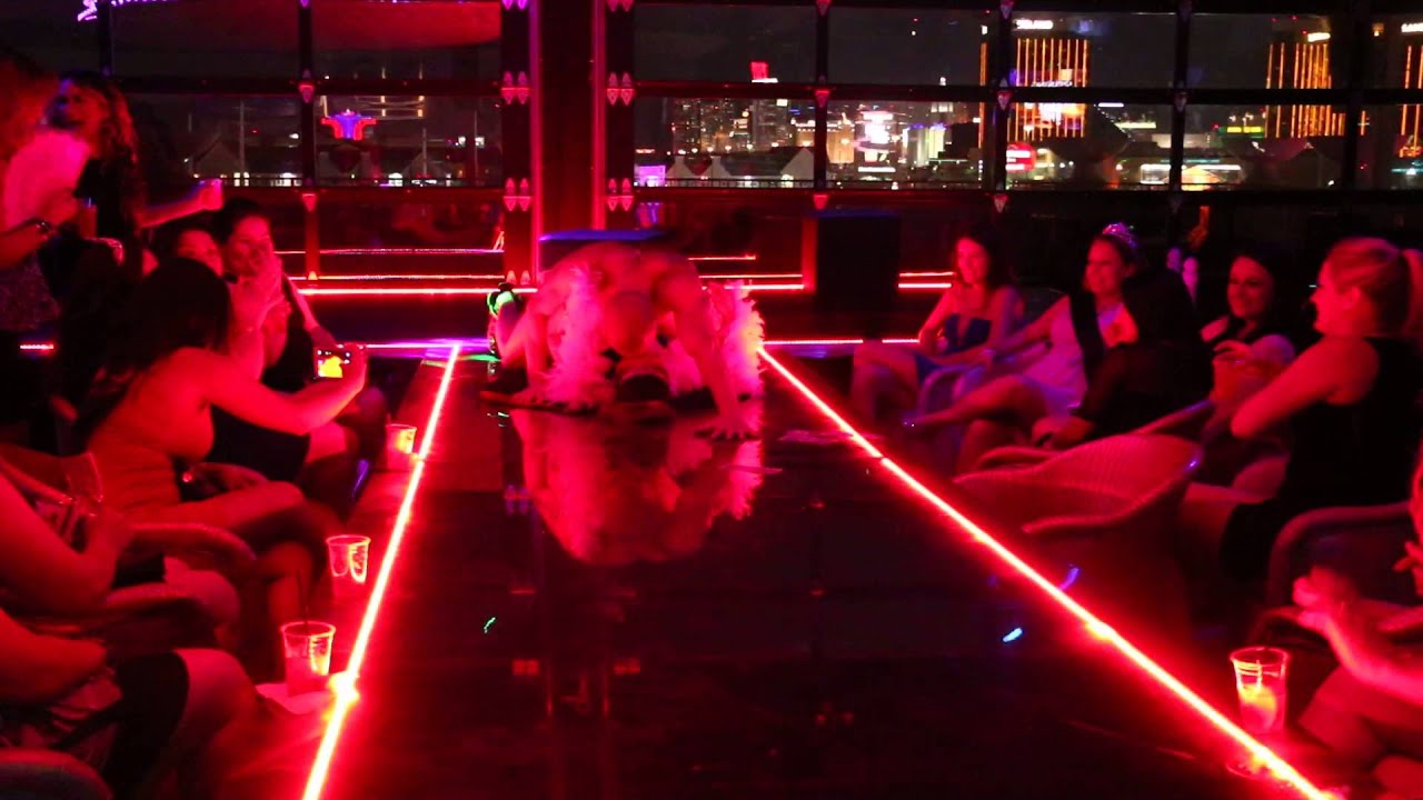 Hustler Las Vegas: Strip Club Review 2019 (Free Limo & Entry) .