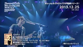 斉藤和義 20th Anniversary Live 1993-2013 "20-21" ～これからもヨロチクビ～ at 神戸ワールド記念ホール2013.8.25（60秒SPOT）