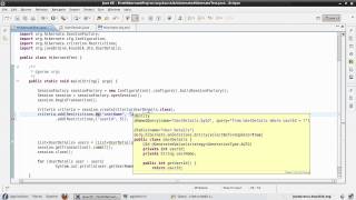 Hibernate Tutorial 30 - Understanding Restrictions