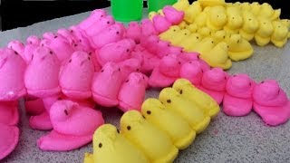 The 100 Peeps Challenge - Destroyed