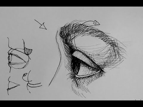 Pen and Ink Drawing Tutorials | How to draw an eye in side view - YouTube