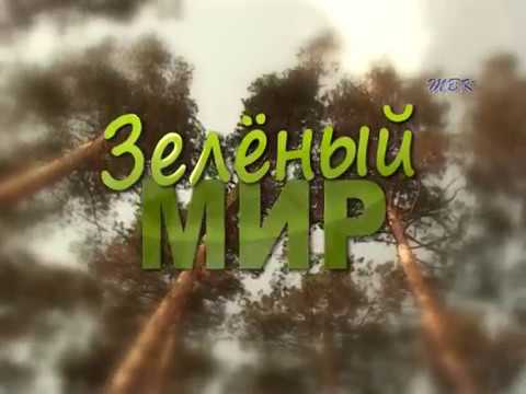Зеленый мир Зеленый мир