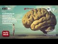 Elaboração de documentos psicológicos e orientação aos formandos.