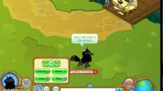 Animal Jam Arctic Wolf Info